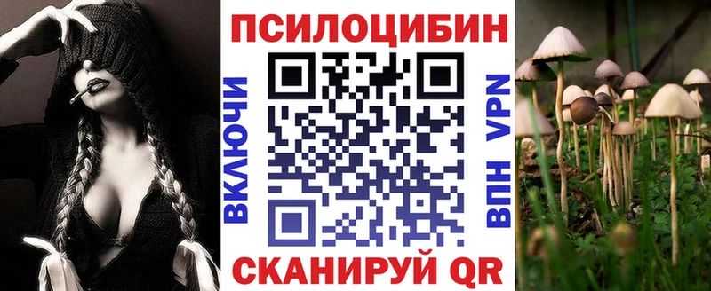где купить наркотик Астрахань Галлюциногенные грибы прущие грибы