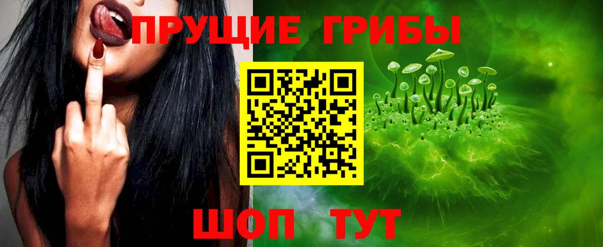 Галлюциногенные грибы Psilocybine cubensis  Псилоцибиновые грибы GOLDEN TEACHER  где купить наркотик  Вход с VPN  Астрахань 