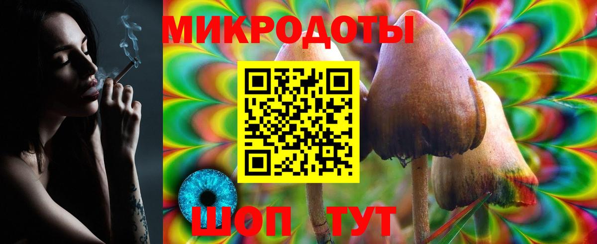 Псилоцибиновые грибы мухоморы Астрахань